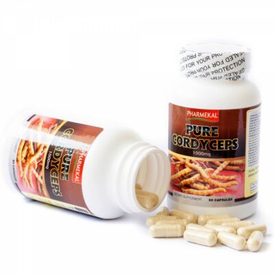 🌿 Top 10 Sản Phẩm Đông Trùng Hạ Thảo (cordyceps) Thật Tốt Nhất 2025 – Đáng Mua & Đáng Tin 10 Hình-ảnh--9