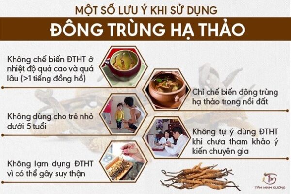 N-HERBS là gì? Công thức đông trùng hạ thảo 4 thành phần cho sức khỏe toàn diện 4 Hình - ảnh - 4