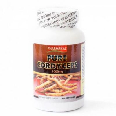 🌿 Top 10 Sản Phẩm Đông Trùng Hạ Thảo (cordyceps) Thật Tốt Nhất 2025 – Đáng Mua & Đáng Tin 6 Hình-ảnh-Cordyceps-6