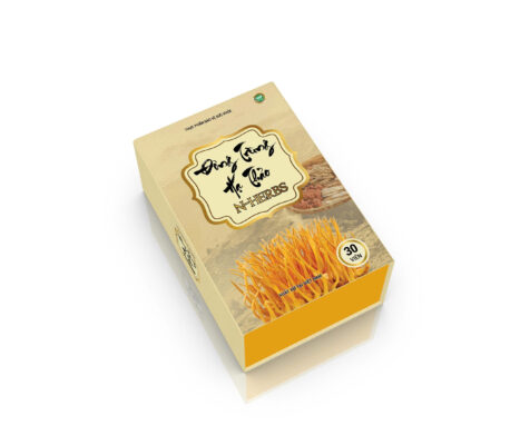 N-HERBS là gì? Công thức đông trùng hạ thảo 4 thành phần cho sức khỏe toàn diện 2 Hình - ảnh - Đông trùng hạ thảo -2