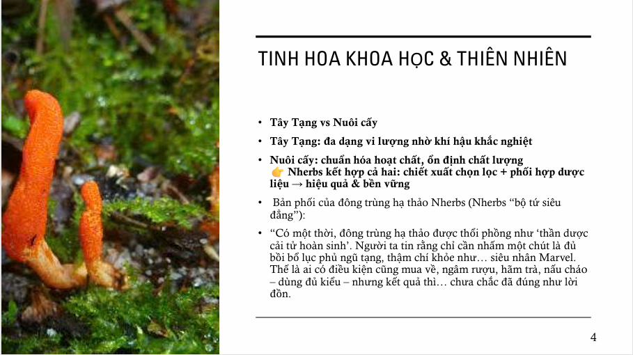 Screenshot 2025 11 19 172127