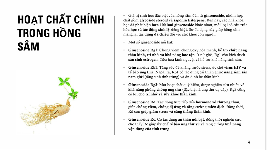 Screenshot 2025 11 19 172157